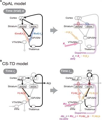 A Dual Role Hypothesis of the Cortico-Basal-Ganglia Pathways: Opponency and Temporal Difference Through Dopamine and Adenosine